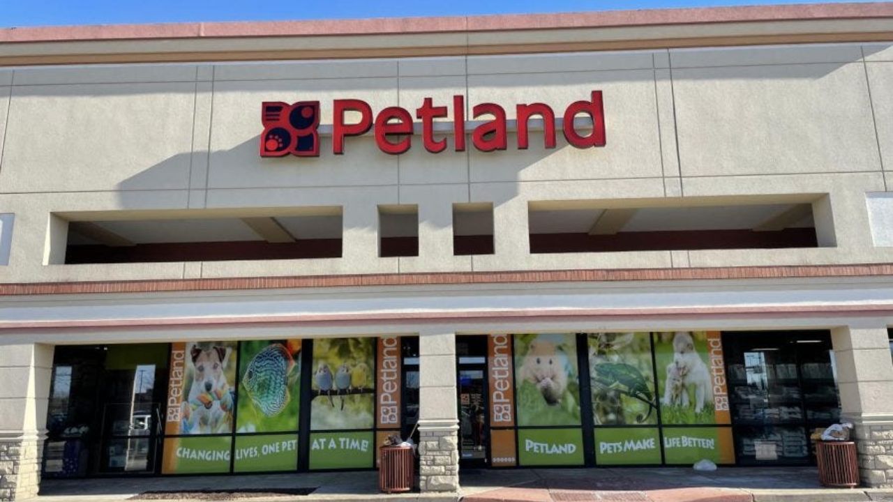 why is petland so expensive