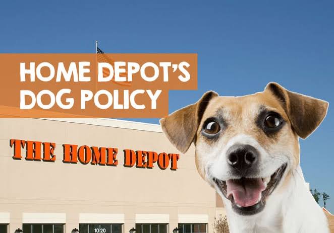 o home depot permite cães no Canadá