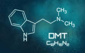 how to make dmt