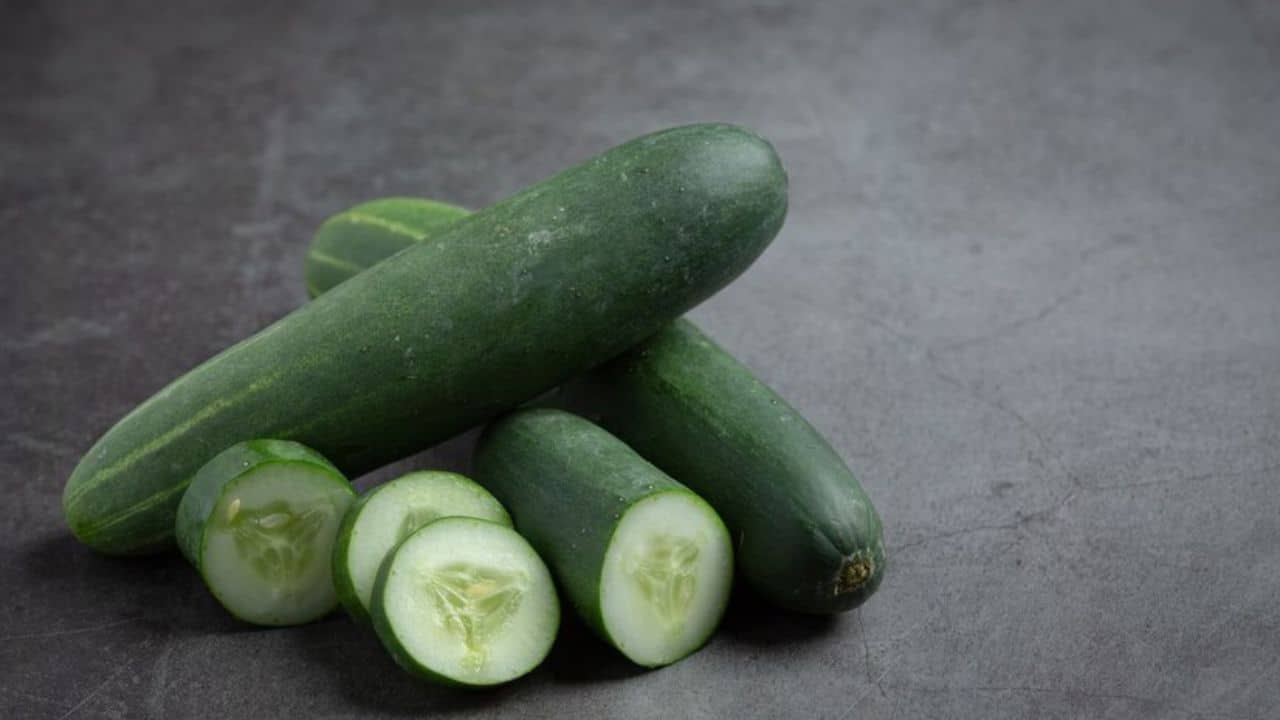 how-to-store-cucumbers