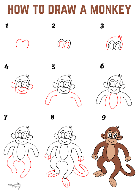 بندر کو کیسے کھینچنا ہے