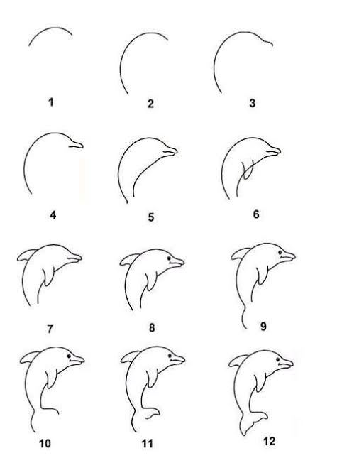 como desenhar um golfinho