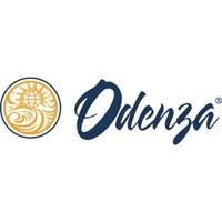 odenza-marketing-group-scholarship