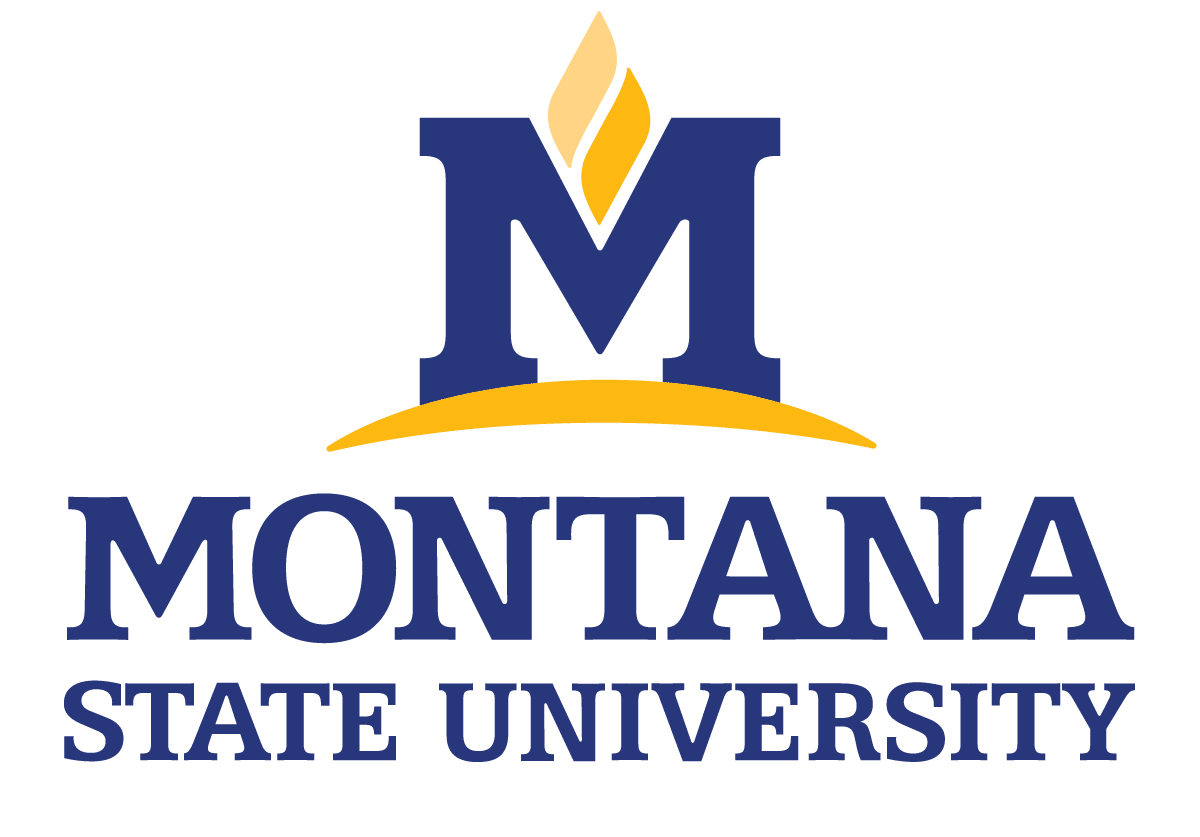 montana-state-university-scholarships