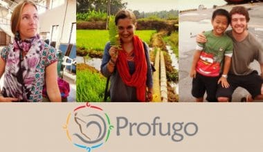 profugo-field-fellowship-programme