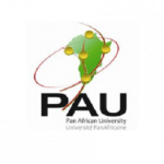 pan-african-university-scholarships