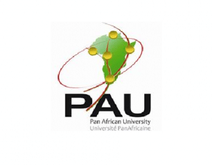 pan-african-university-scholarships