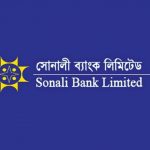 Υποτροφία επιχορήγησης Sonal Bank Education