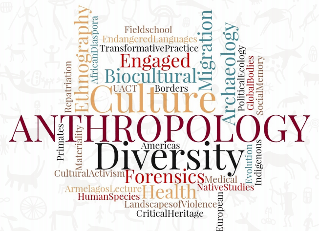 Los mejores títulos de antropología y universidades para estudiarlos