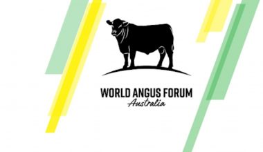 World Angus Forum 2021