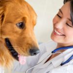 best veterinary schools in florida