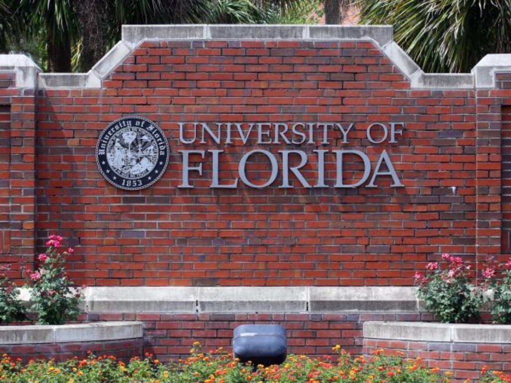 university of florida mfa creative writing acceptance rate