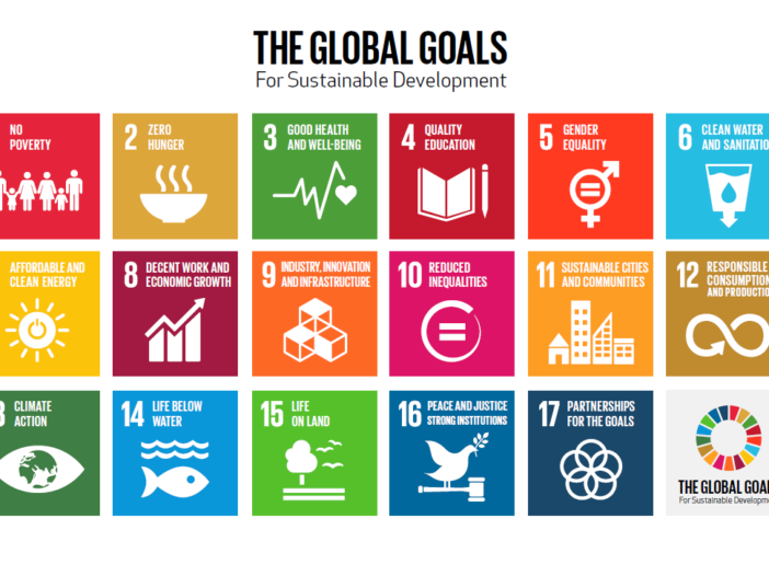 United Nations Sustainable Development Goals (SDG) program for young leaders initiative 2020