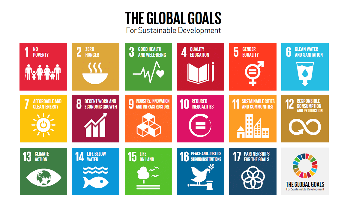 United Nations Sustainable Development Goals (SDG) program for young leaders initiative 2020