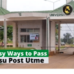 7 enkla sätt att klara Imsu Post Utme-examen