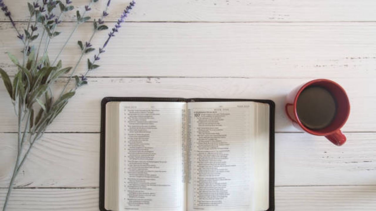 45 versículos bíblicos sobre aprendizaje y educación que te sorprenderán