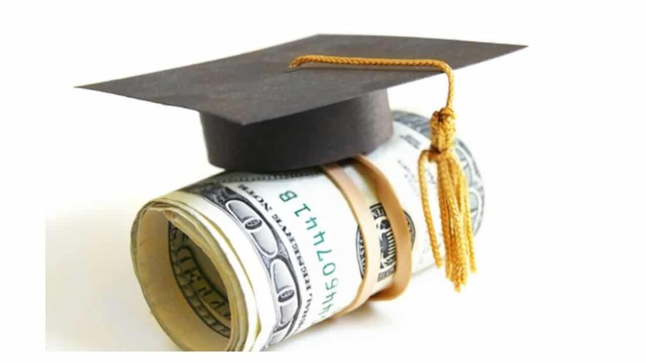 Elims-Undergraduate-Scholarships