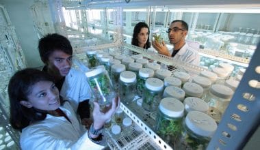 Masters-Scholarships-in-Biotechnology