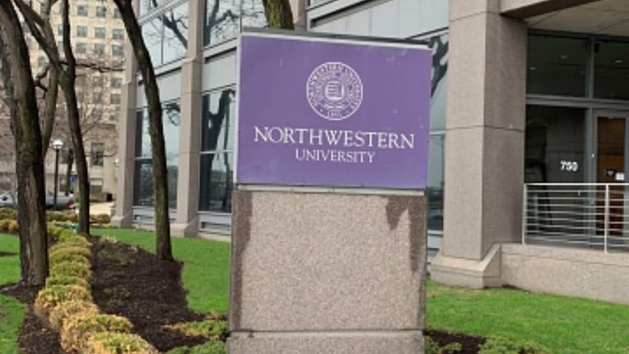 northwestern university english phd