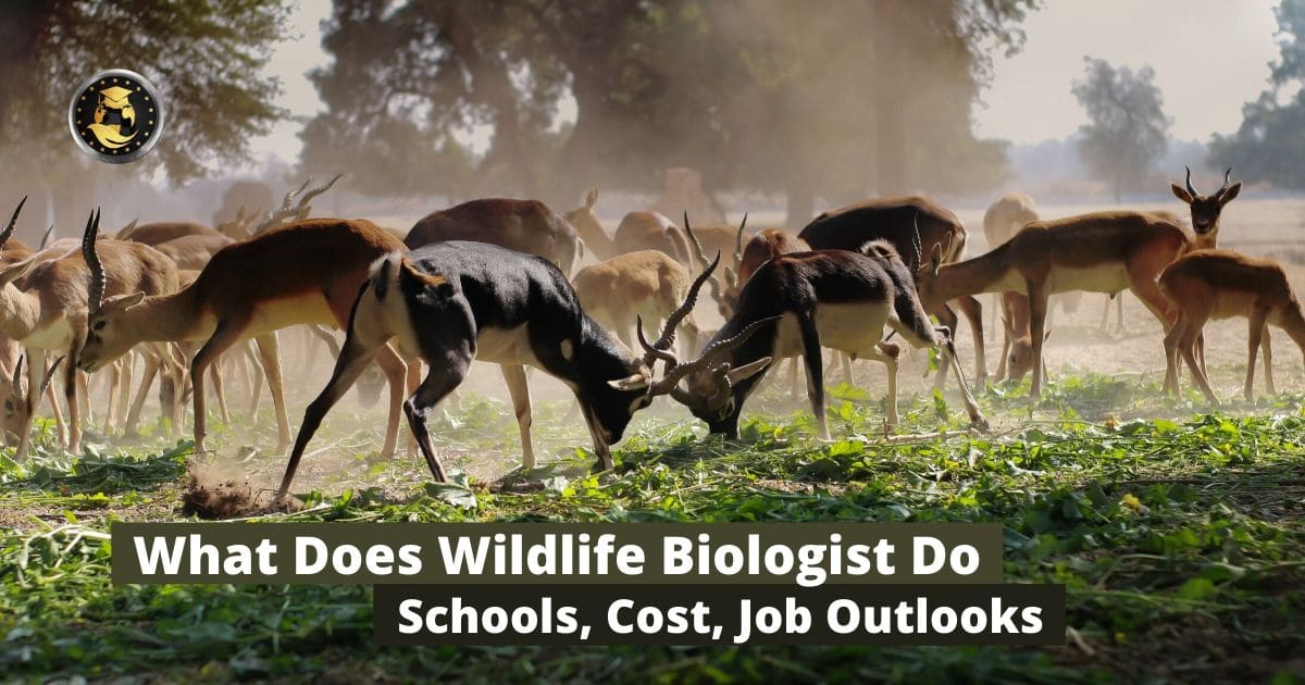What-Does-Wildlife-Biologist-Do