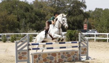 Best Equestrian Boarding Schools in the World