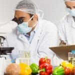 Food Science PhD Scholarships