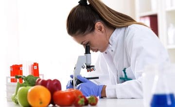 best-schools-for-food-science