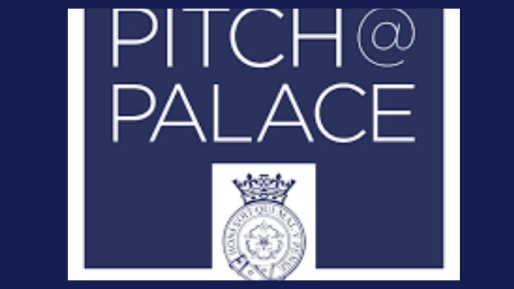 Fully Funded Pitch@Palace Commonwealth Entrepreneurs program