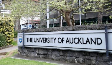Becas de investigación de la Universidad de Auckland