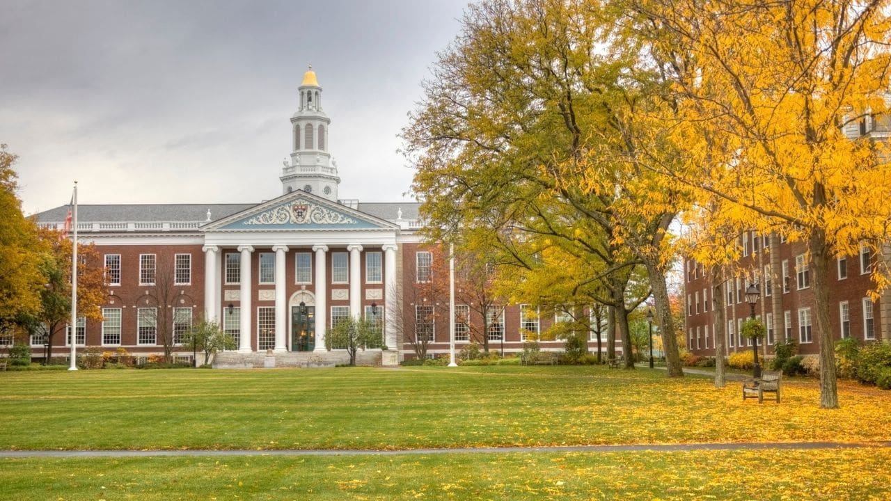 Best Harvard online classes