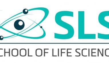 School of Life Sciences Excellence International Scholarships