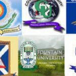 نجی یونیورسٹیوں میں ان نائجیریا اور ان کے سکول کی فیس