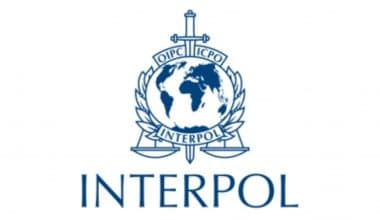 Interpol-Pasantía