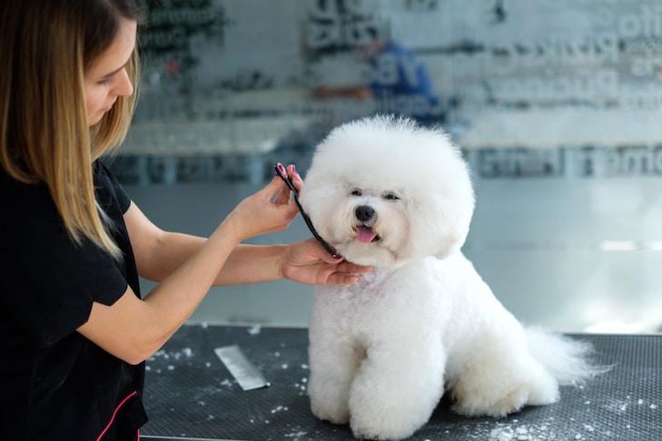 Dog-Grooming-Class-Online