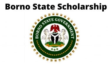 Borno-State-Scholarship