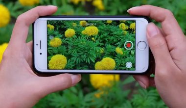 How To Reverse A Video On iPhone Photos