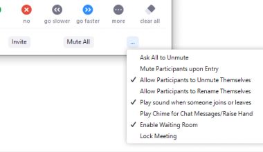 How to mute participants on zoom