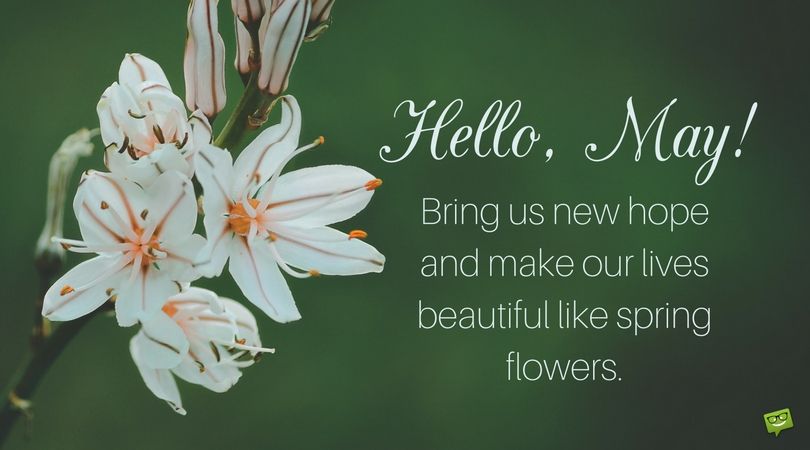 Free Vector | Flat hello may horizontal banner and background