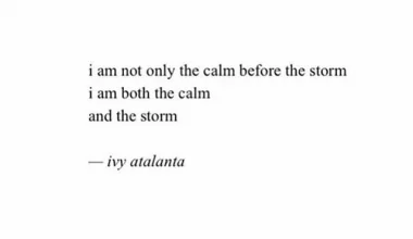 Calm Before The Storm Quotes