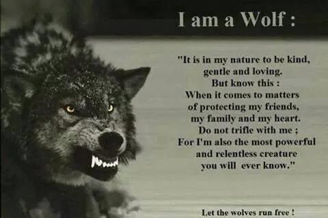 Wolf Pack Quotes