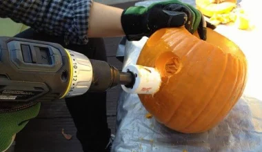 Best Tools For Carving Pumpkins