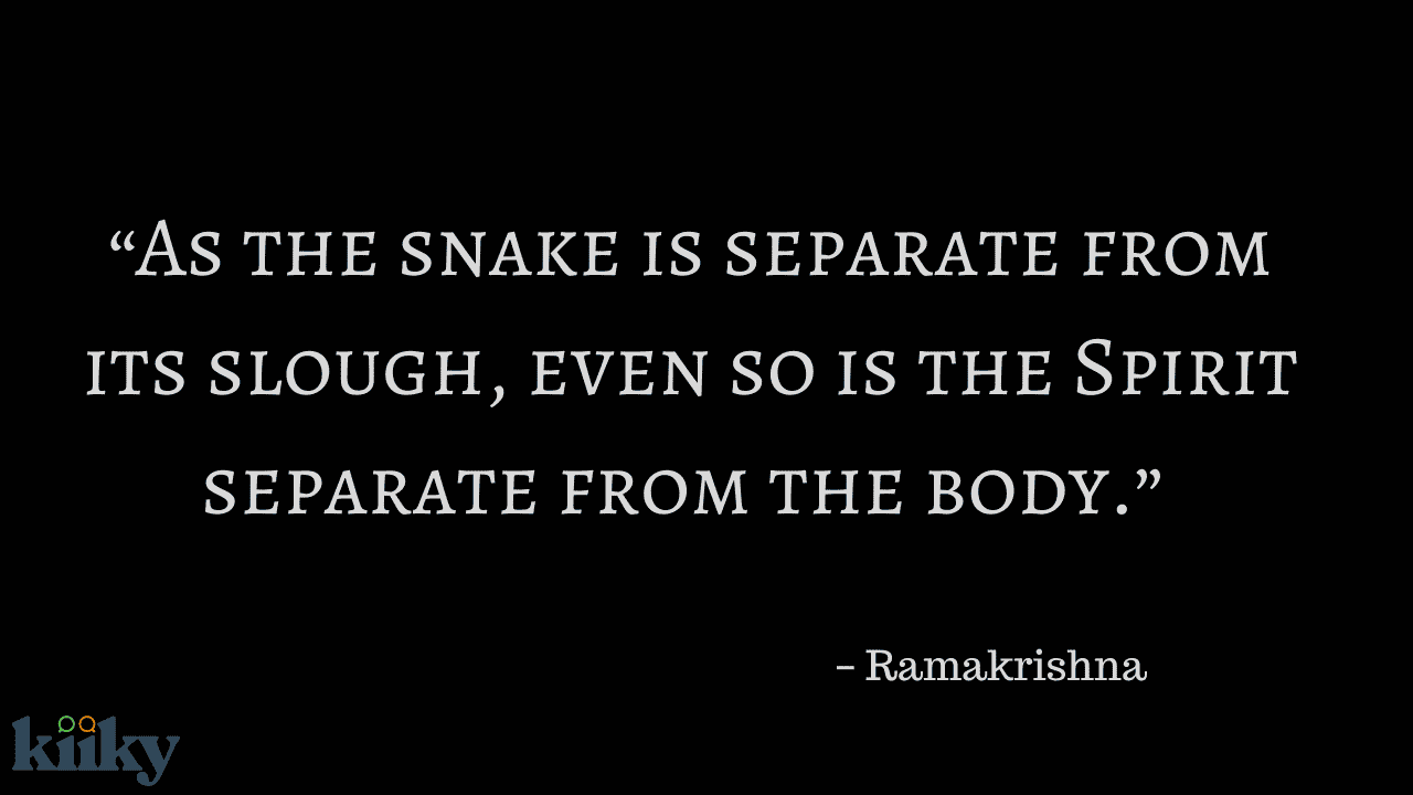 quotes for snakes