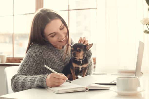 Best Pets for Busy College Students