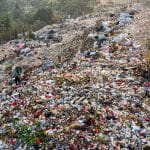 essay-for-environmental-pollution