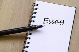 essay on books
