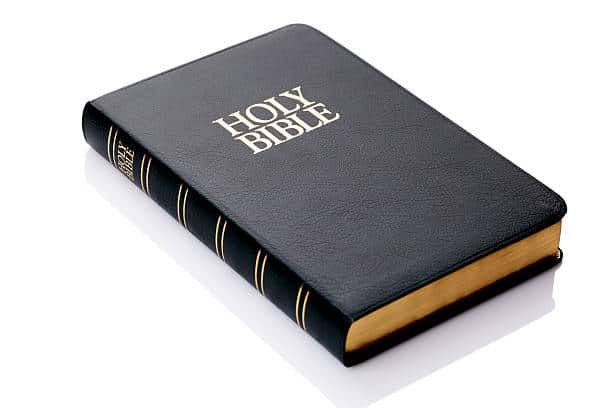 best bibles for college students
