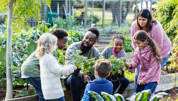 best grants for community gardens