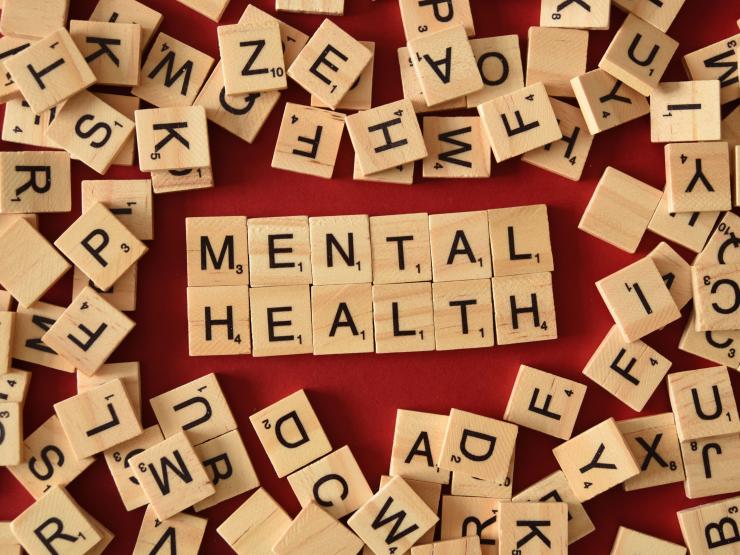 15 Best Grants for Mental Health