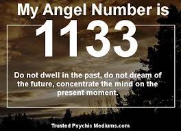 1133 Angel Number Meaning