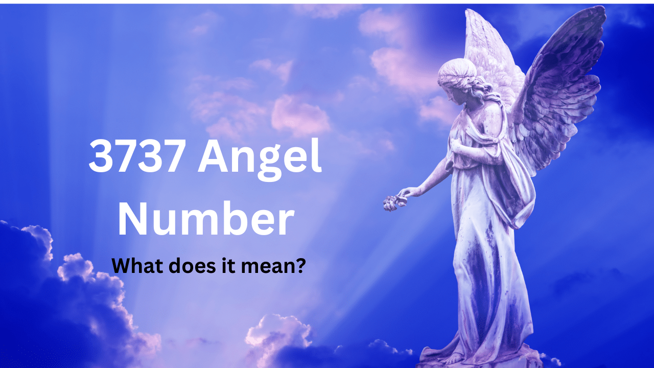 3737 Angel Number